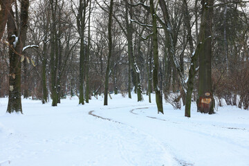Trees and pathway covered with snow in winter park