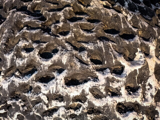stone wall texture