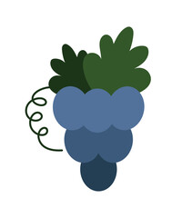 Blue grapes, bunch of grapes. Isolated flat vector illustration for your design.