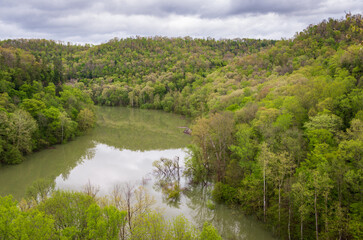 Fototapeta premium River Overlook at Big South Fork National River and Recreation Area