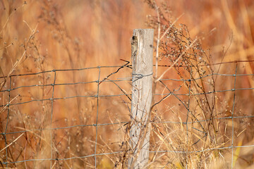 Obraz premium Clôture de fil de fer barbelé en automne
