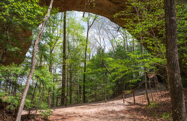 Twin Arches, Natural Rock Arch at Big South Fork National River and Recreation Area, in Tennessee