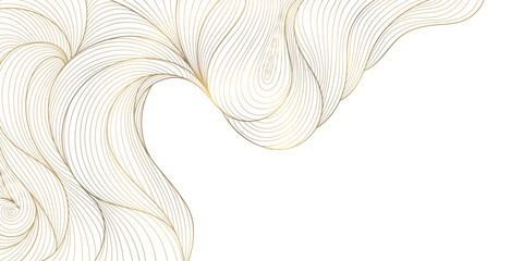 Vector line gold background, luxury design texture. Flow elegant curve graphic. River, ocean dynamic banner