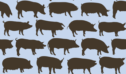 The seamless background with domestic pigs. 
