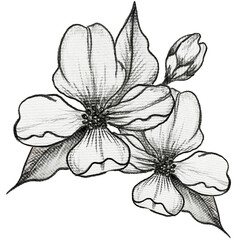 Original flowers in monochrome style black and white