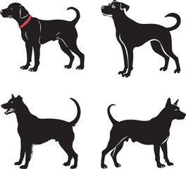 Vector silhouette of dog on white background.