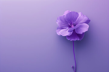 Purple flower on the violet background. Purple day. Increasing awareness about epilepsy worldwide concept. Copy space.