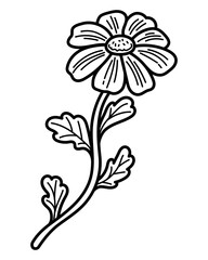 Coloring book chamomile sketch. Blooming flower. Hand drawn vector illustration.