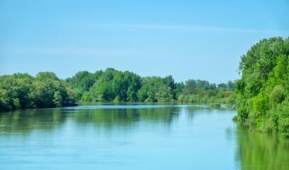 Potamology. The Kuban River in the lower reaches, sluggish river but course, end of spring flood. The floodplain forest consists mainly of black poplar and white willow. Krasnodar Territory, Russia