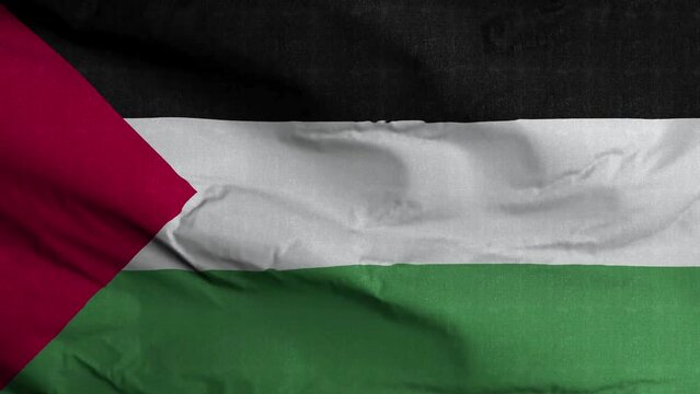 Highly Detailed Fabric Texture Flag Of Palestine. Palestinian Flag Is Waving In Slow Motion In The Wind. Seamless Loop 4K Animation.