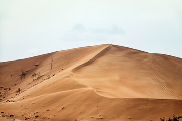 Fototapeta na wymiar Hot deserts of the southeastern part of the Arabian Peninsula. Orange barchan dune (inland sandhill areas, drift sands). Wind-curved Sandhills (Sura 46 of the Holy Quran)