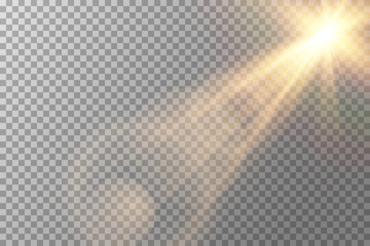 Vector transparent sunlight special lens flare light effect. Sun flash	