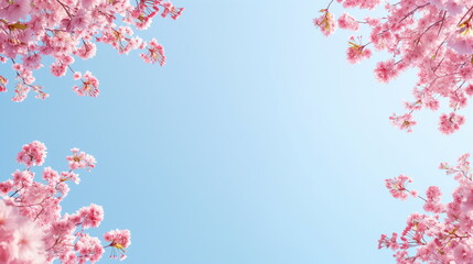Cherry blossom, open space, cherry blossom frames the edges for a flyer with no text. blue sky background - Generative AI