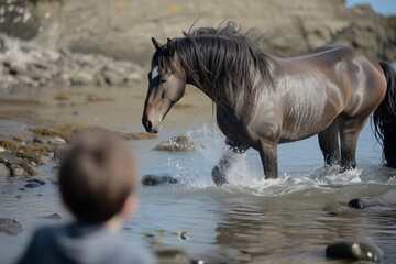 a horse with sleek coat splashing in tidal pools as a child watches on
