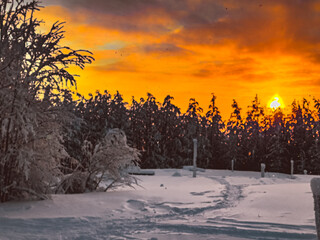 sunset winter landscape quality photo