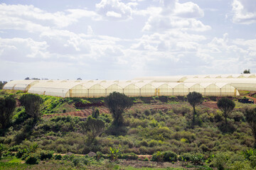 A greenhouse by the hills