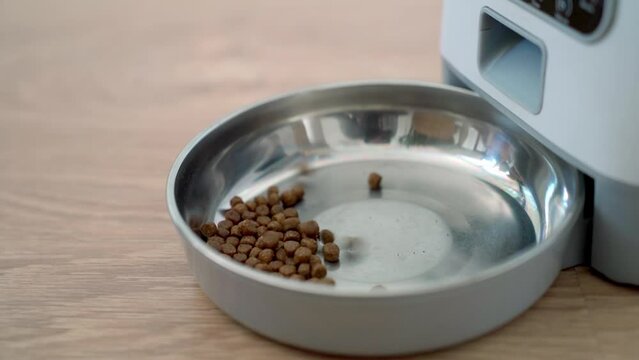 Automatic pet food dispenser on the floor of the house. A smart pet feeder pouring a portion of dry food in the kitchen. Close up. Pet nutrition, day ration, pet's device, weight control