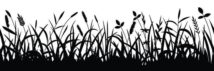 Drawn wild grass isolated on white background, vector design	