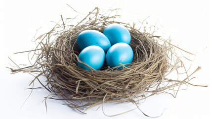 Naklejka na ściany i meble Nest with blue eggs