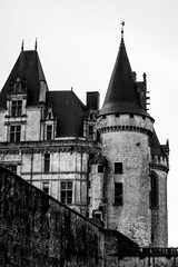 Fototapeta na wymiar Grayscale shot of La Rochefoucauld Castle in France