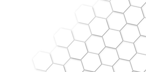 Abstract background with white hexagons and seamless pattern in vector design . luxury white pattern geometric mesh cell texture .hexagon 3d background texture design .