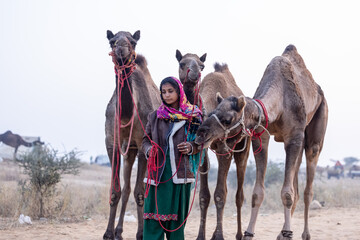 Portrait of an young Indian rajasthani woman in colorful traditional dress carrying camel at Pushkar Camel Fair ground during winter morning.