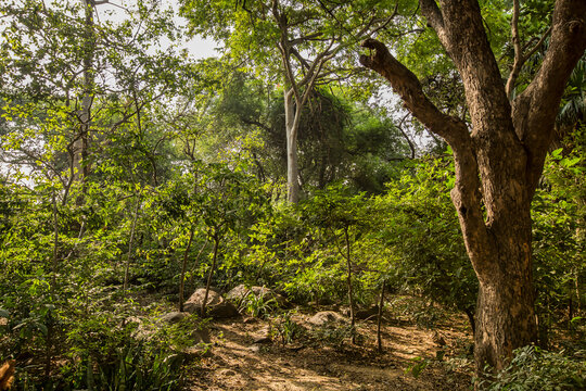 The ridge of Delhi or New Delhi