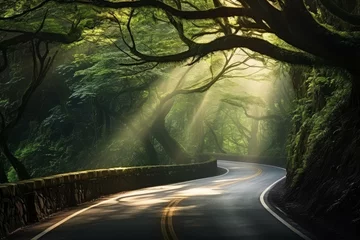 Papier Peint photo Lavable Route en forêt Sunbeams piercing through an overgrown forest canopy onto a winding road.