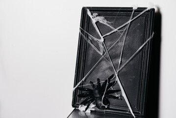 Spider Decoration on Dusty Book with Cobwebs. A spooky black spider decoration sits on a dusty book...