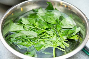 Fresh Basil Leaves in Water Inside Stainless Bowl. A stainless steel bowl filled with water and fresh basil leaves, preparation for cooking or making pesto.