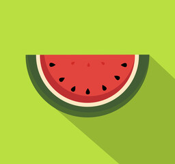 water melon vector - flat design