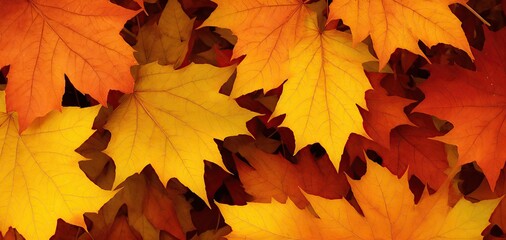 Naklejka na ściany i meble orange and yellow tone autumn leaves background