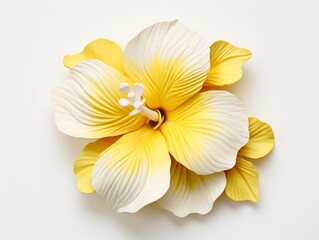 Fototapeta na wymiar Tiare flower on a white background