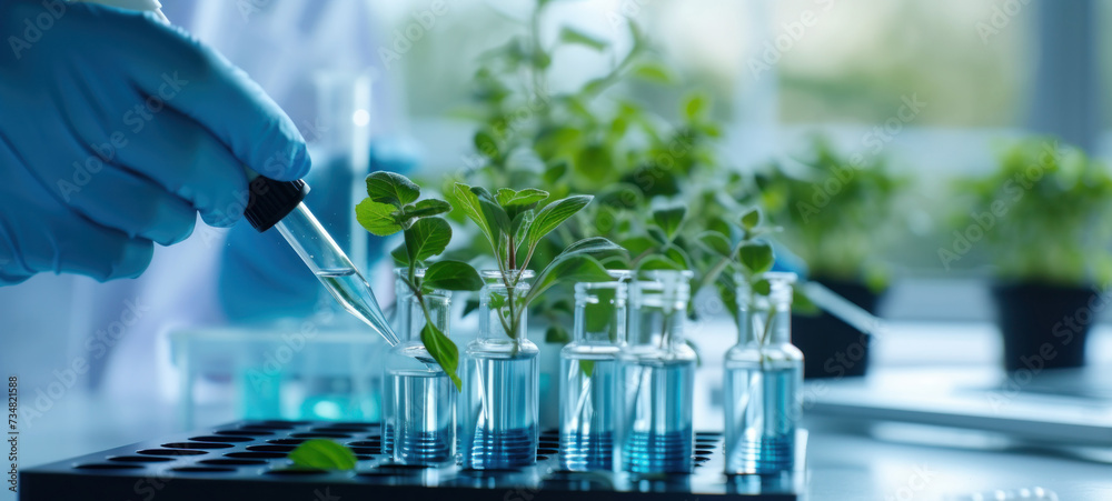 Poster plants in lab tube. science laboratory experiments analysis and genetic engineering study.