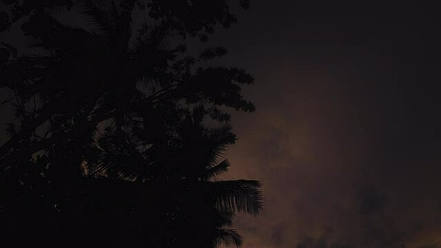 Beautiful Timelapse Shot of Clouds After The Sunset Silhouette of Trees Stock Video Footage 4K