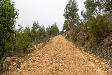 Hiking Trail near Sao Luis in Portugal