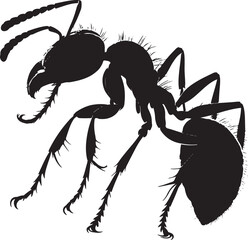 Silhouettes of ants.