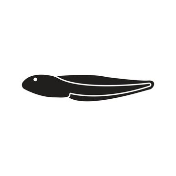 tadpole icon vector