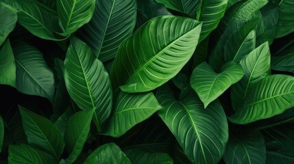 Lush Leafy Greens Seamless Texture