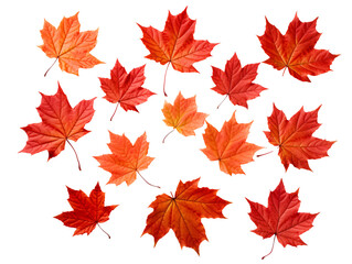 a group of red and orange leaves