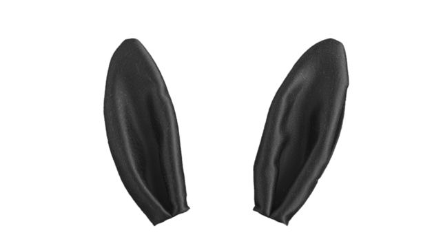 mix match black bunny rabbit ears headband editable on head. isolated on transparent background.