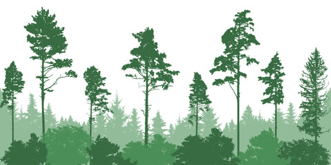 Obraz premium Coniferous forest, silhouette of pine trees and spruces, beautiful landscape. Vector illustration