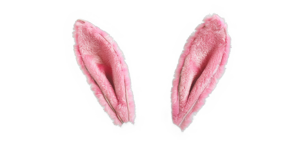 mix match pink bunny rabbit ears headband editable on head. isolated on transparent background.