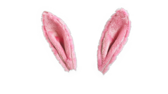 mix match pink bunny rabbit ears headband editable on head. isolated on transparent background.