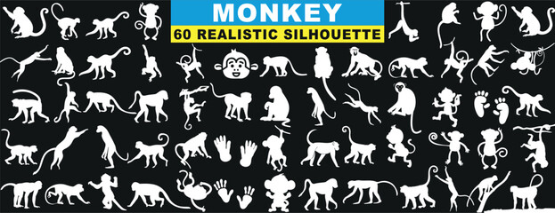 Realistic Monkey silhouette, 60 poses, vector art. Ideal for wildlife, nature themes, graphic designs. High quality, unique, black and white collection