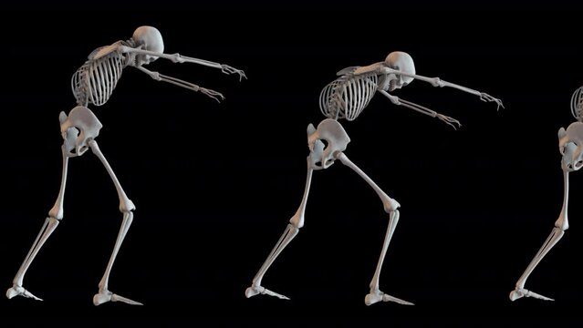 Walking Skeleton Zombies Loop