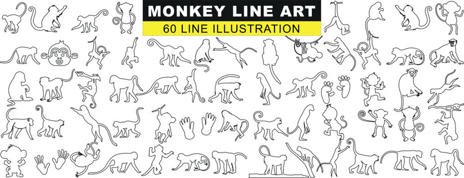 Monkey Line Art Collection, 60 unique, playful, artistic illustrations. Perfect for prints, decor, children’s books. Captivating designs, enhancing visual appeal