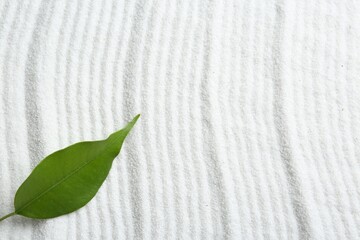 Zen rock garden. Wave pattern on white sand and green leaf, top view