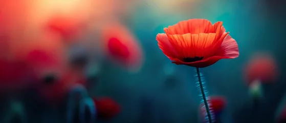 Foto op Canvas Poppy Flower Growing In The Park. Illustration On The Theme Of Nature And Ecology, Climate And Seaso. Generative AI © MICHAEL KUK