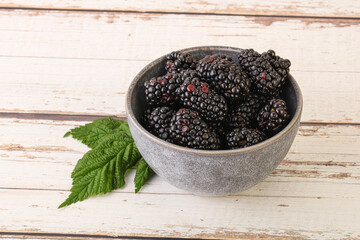 Natural organic blackberry in the bowl